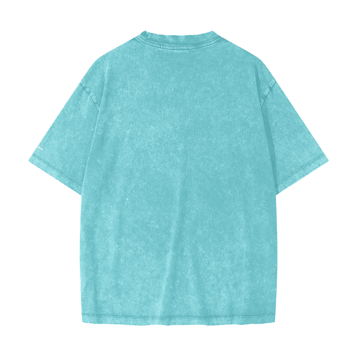 Heavyweight Snow Washed T-Shirt