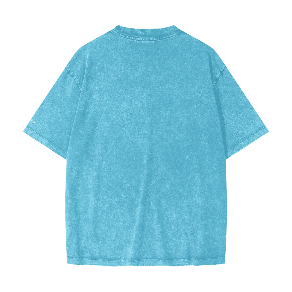 Heavyweight Snow Washed T-Shirt