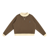 Brown with Apricot