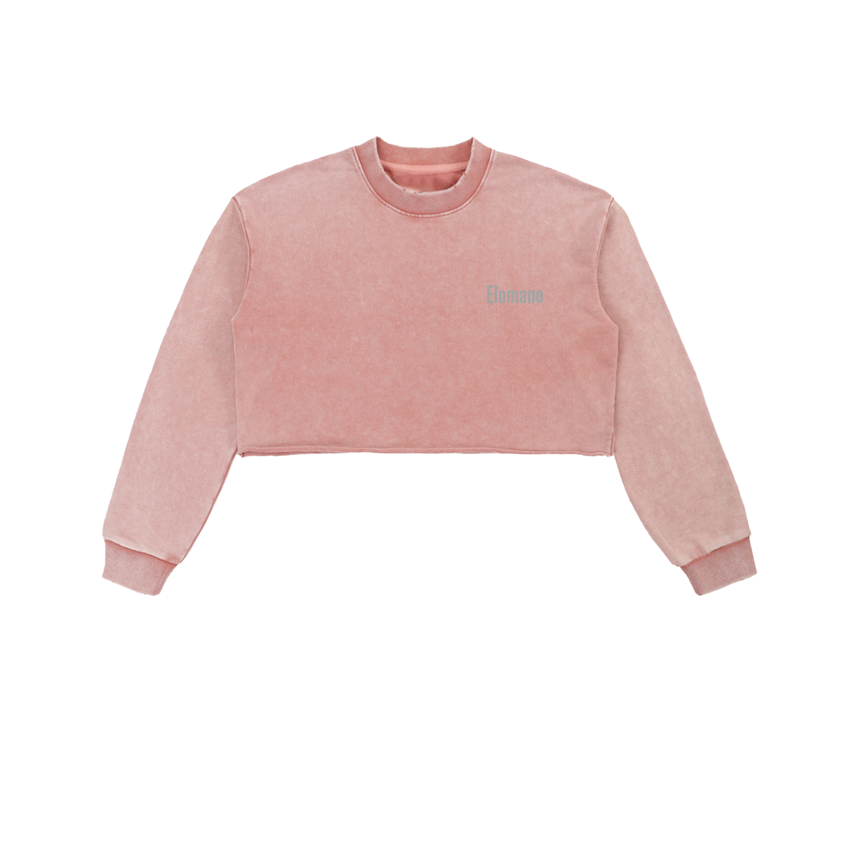 Snow Washed Raw Edge Cropped Sweatshirt